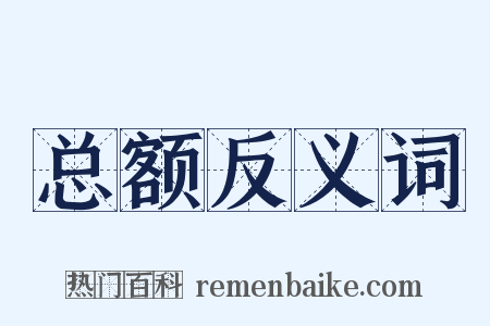 总额反义词是什么意思的图片